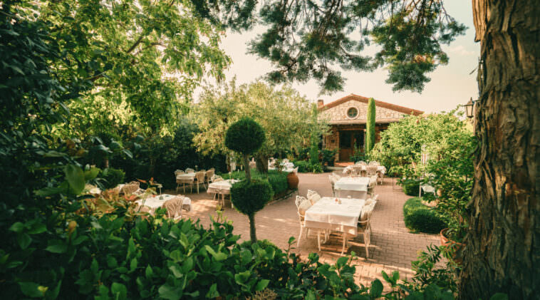 İstanbul, İzmir ve Bodrum'un Michelin Yıldızlı Restoranları Açıklandı