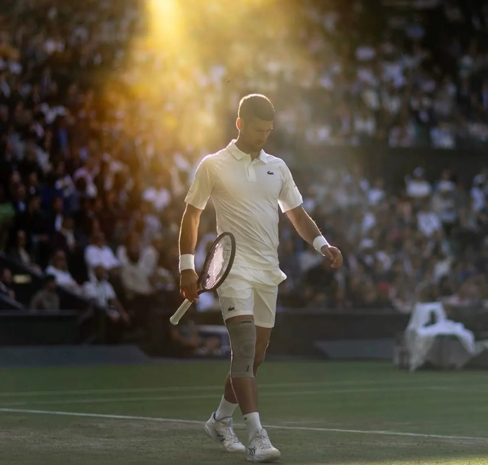 Yaşayan İkon Novak Djokovic